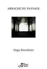 Hugo Bourdelais - Arraché du paysage